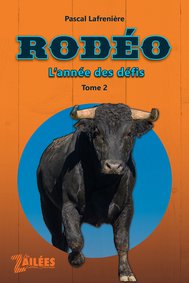 Rodeo-2-Lannee-des-defis.jpg